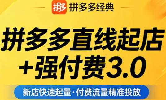 【更新】拼多多直线起店+强付费3.0实战教程 - 最新玩法破解流量瓶颈 | 一人创业网