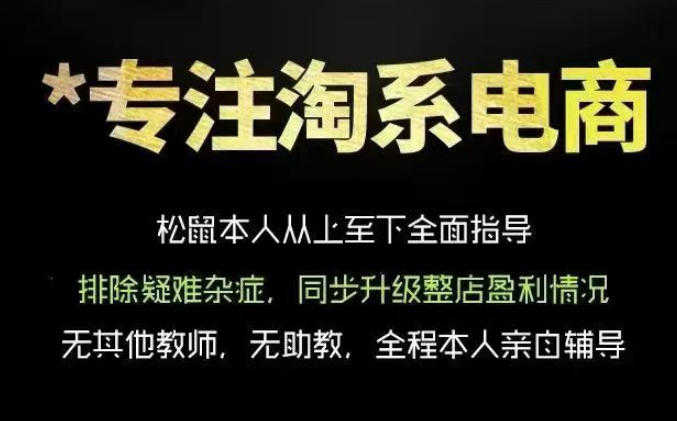 松鼠会淘宝电商VIP课程 - 2026年最新版从基础布局到高阶优化 | 一人创业网