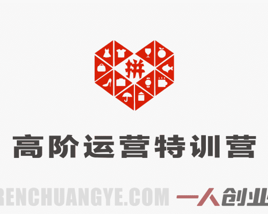 【更新】拼多多高阶运营特训营：独家擦边玩法与暴力起店盈利指南 | 一人创业网