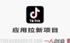 海外TikTok应用拉新项目信息整理：运作原理与投入参考