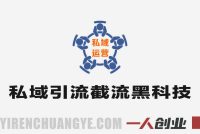 某大佬绝版全网引流教学实战 – 2026年最新指南 | 一人创业网