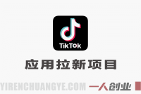 海外TikTok应用拉新项目信息整理:运作原理与投入参考