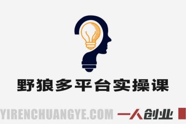 【更新】野狼团队多平台实操运营课 – 2026年最新指南 | 一人创业网