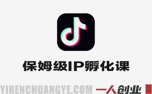 保姆级IP孵化课2.0实战 – 2026最新抖音起号全流程指南 | 一人创业网