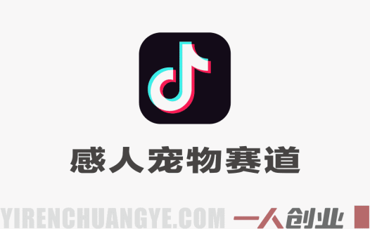 感人宠物赛道视频教学：抖音创作者伙伴计划实战指南 | 一人创业网