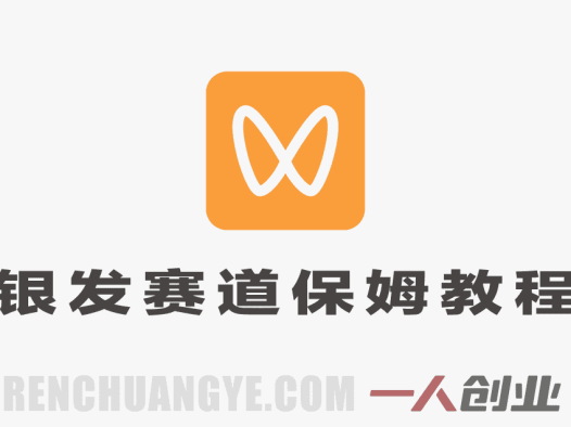 2026蝴蝶号银发赛道真相:AI生成视频月入1W+是否真实?风险与可行性深度解析