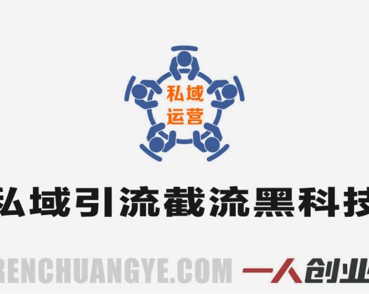 某大佬绝版全网引流教学实战 – 2026年最新指南 | 一人创业网