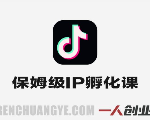 保姆级IP孵化课2.0实战 – 2026最新抖音起号全流程指南 | 一人创业网
