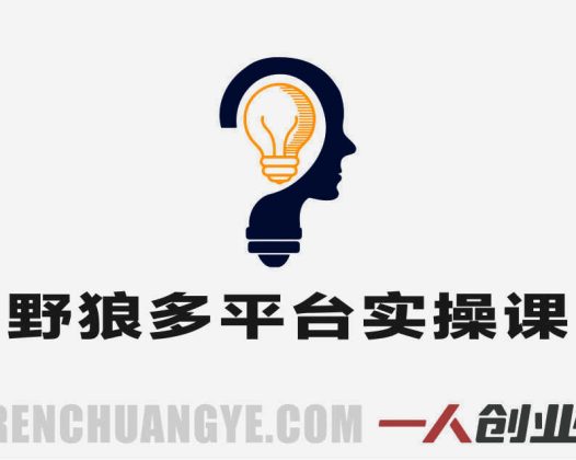 【更新】野狼团队多平台实操运营课 – 2026年最新指南 | 一人创业网