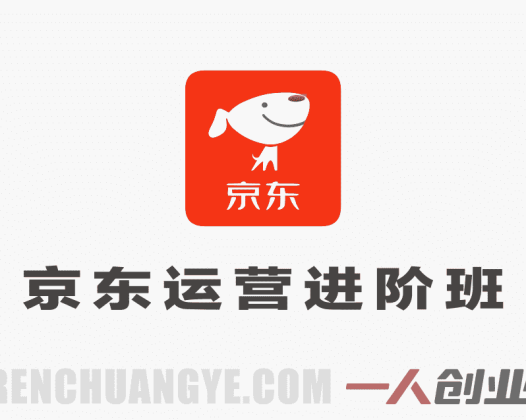 京东运营进阶班实战教程 – 2026年最新指南 | 一人创业网
