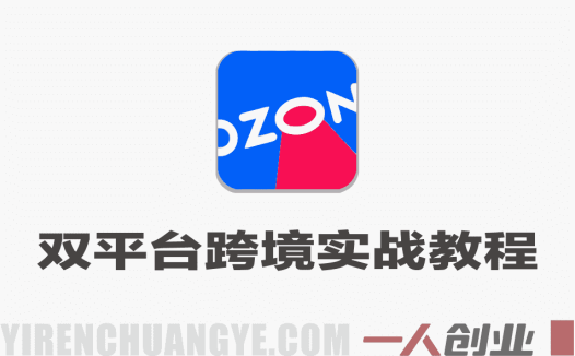 2026 OZON与Wildberries双平台跨境实战教程 – 完整步骤 | 一人创业网
