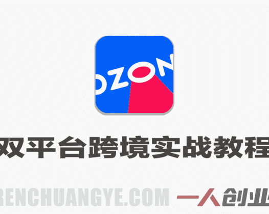 2026 OZON与Wildberries双平台跨境实战教程 – 完整步骤 | 一人创业网